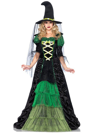Costume - Adult Storybook Witch Costume