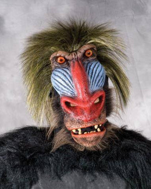 Costume - Baboon Mask