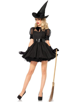 Bewitching Witch Costume