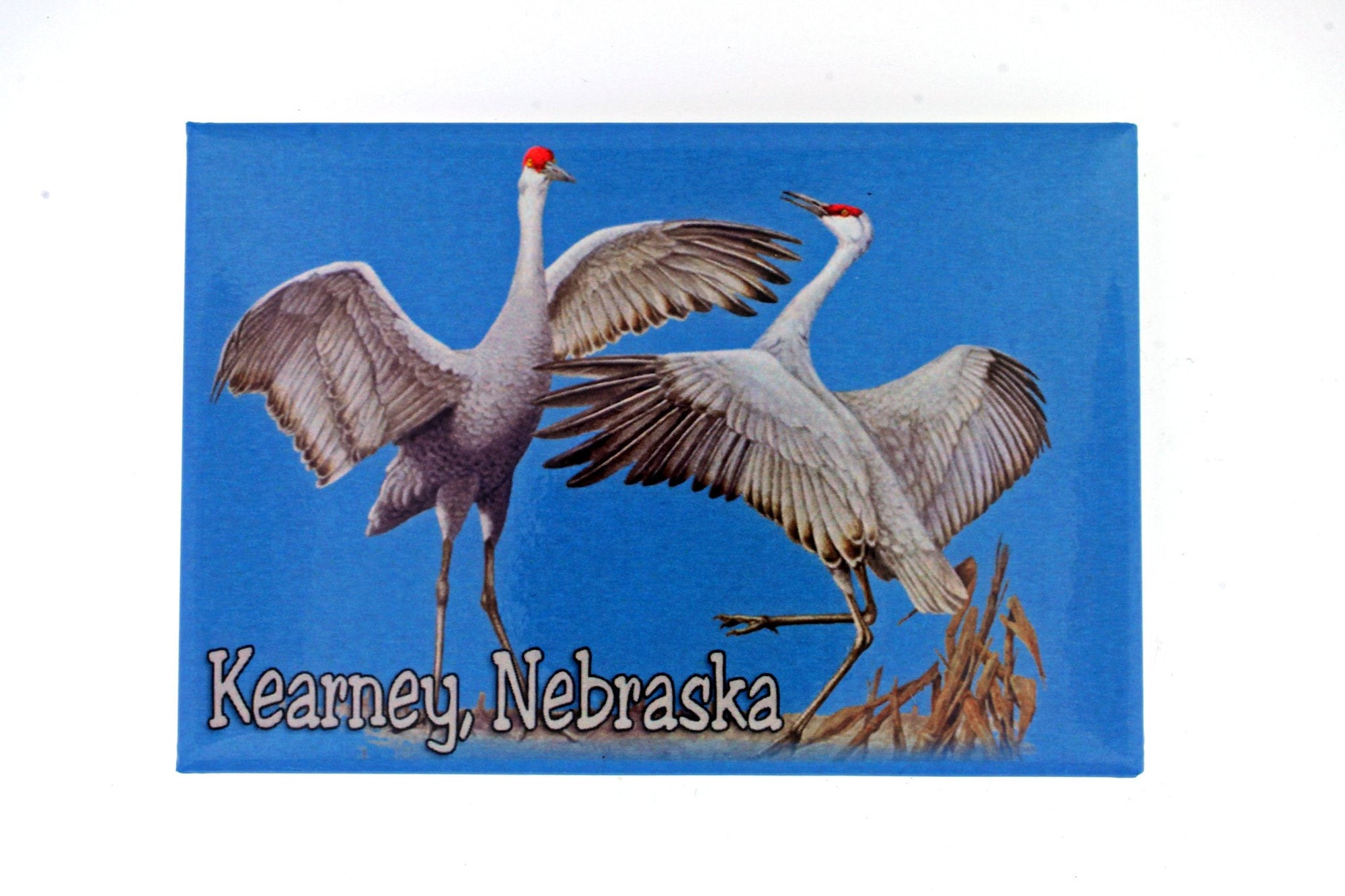 Souvenir - Sandhill Cranes Magnet, Kearney, Nebraska